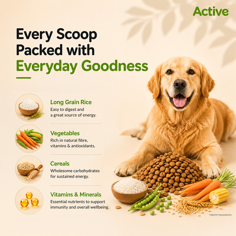 Active All Breed 100% Veg Dog Dry Food (Buy 1 Get 1) image 5