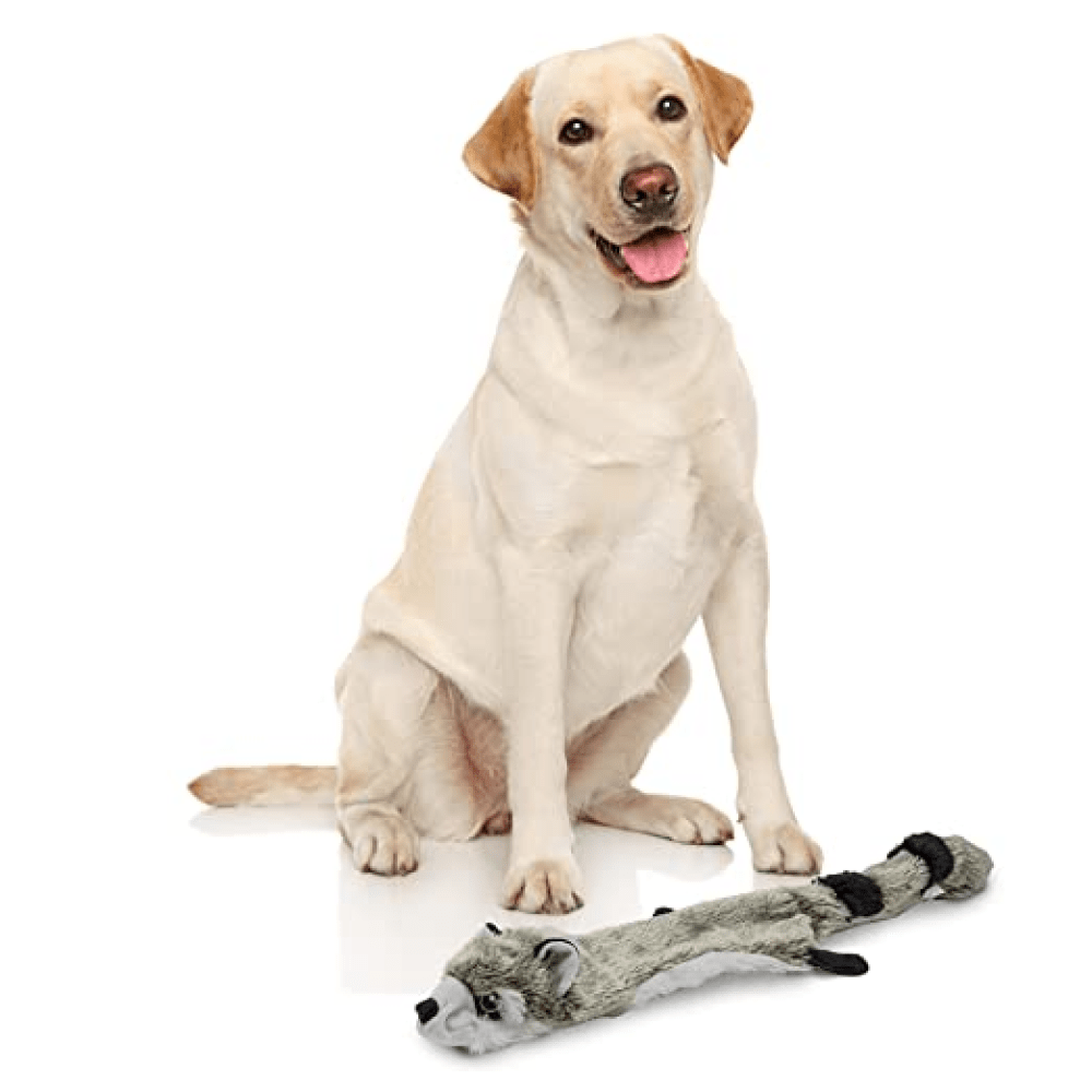 Barkbutler x Fofos Skinneez Raccoon Toy for Dogs image 8