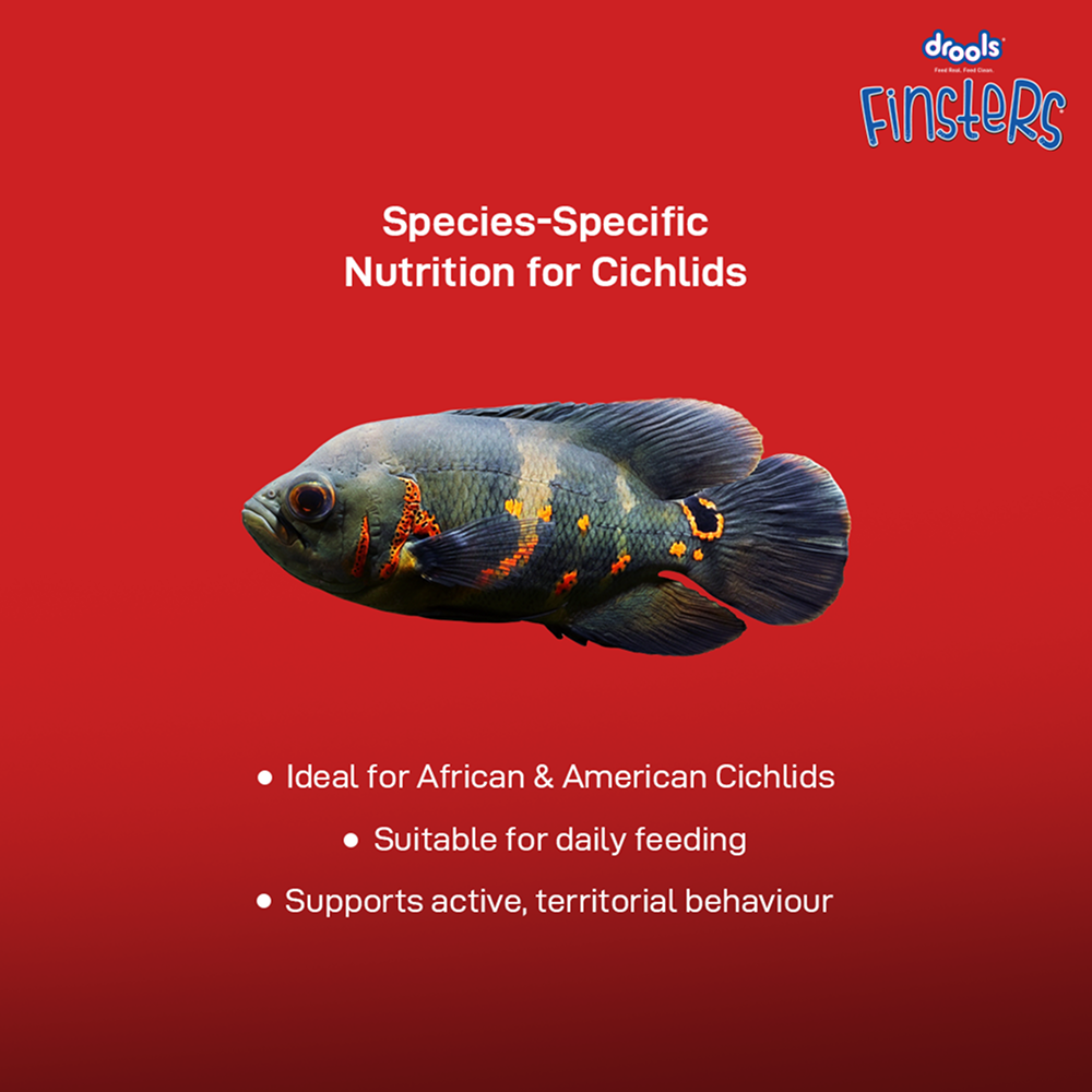 Drools Finsters Cichlid Fish Food image 7
