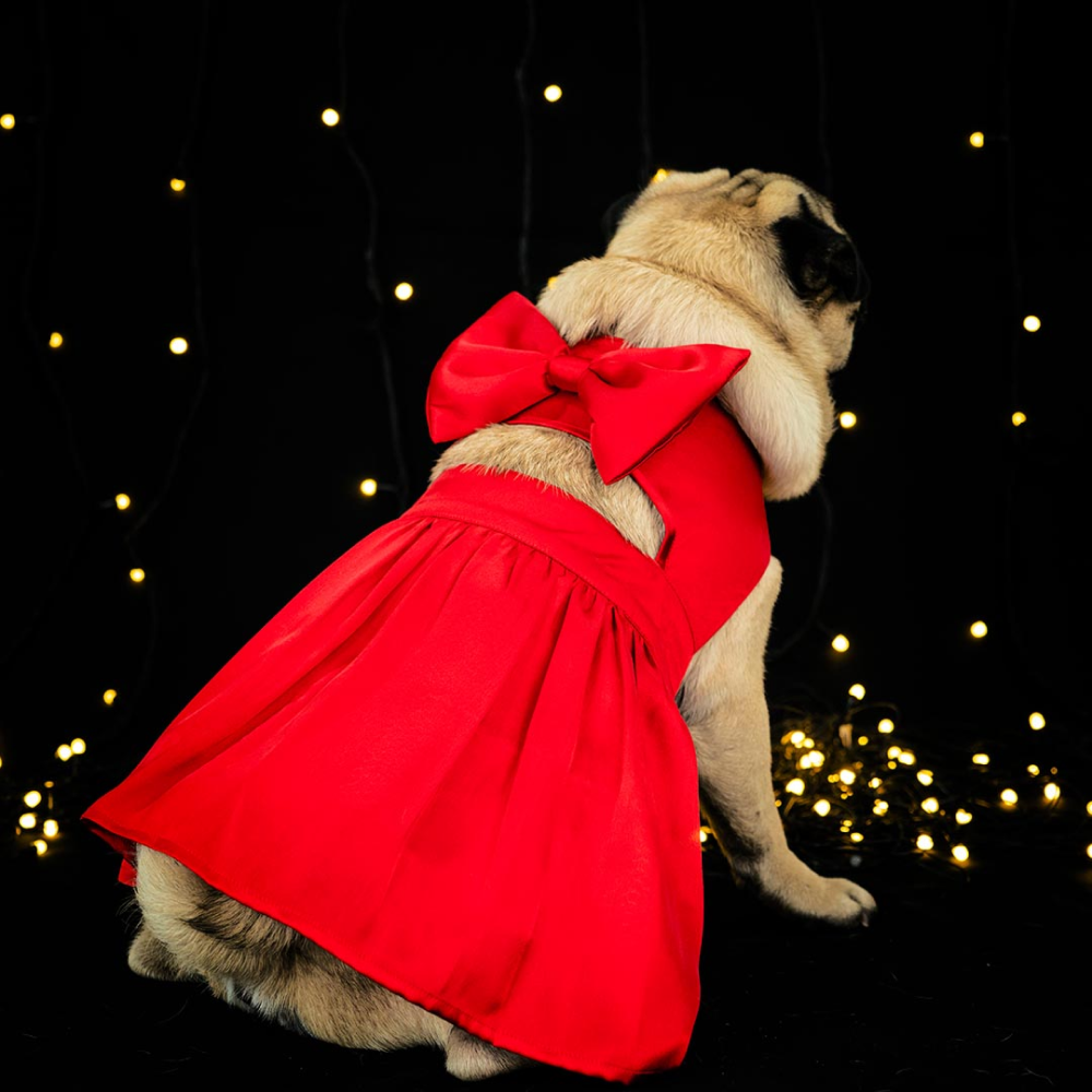 Dogobow Little Dress for Cats and Dogs (Red) image 4