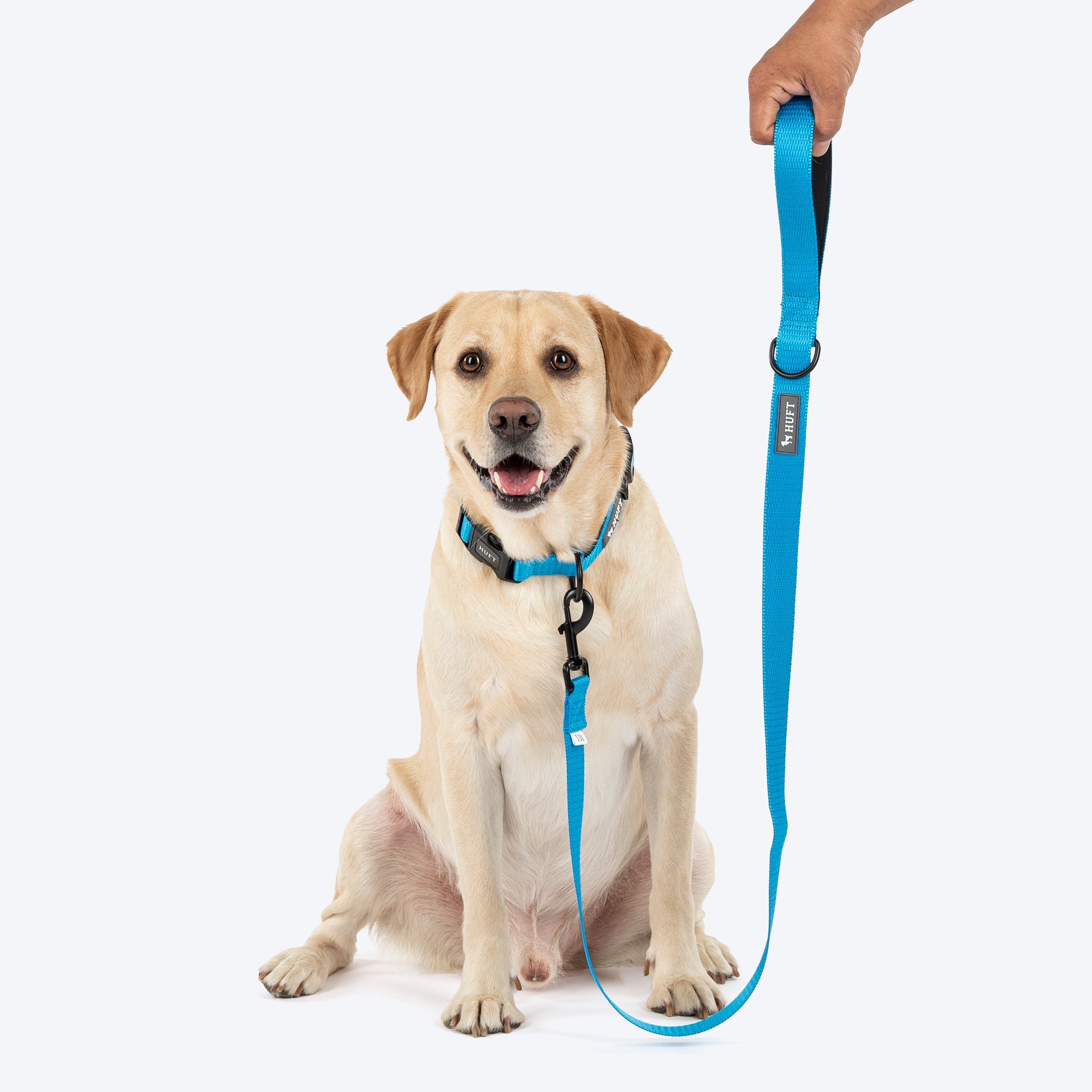 HUFT Classic Leash for Dogs (Ocean Blue) image 3