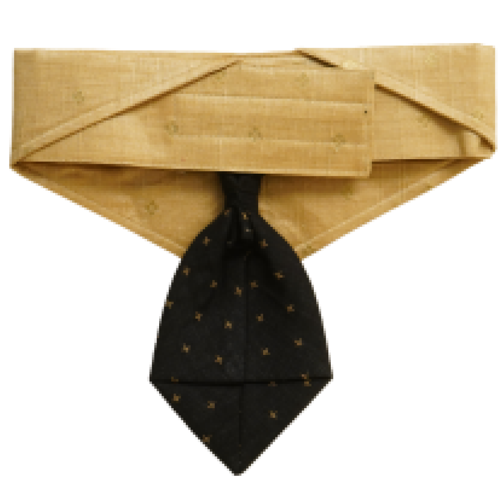 Floof & Co Silk Tie Collar for Dogs (Black & Gold) image 2