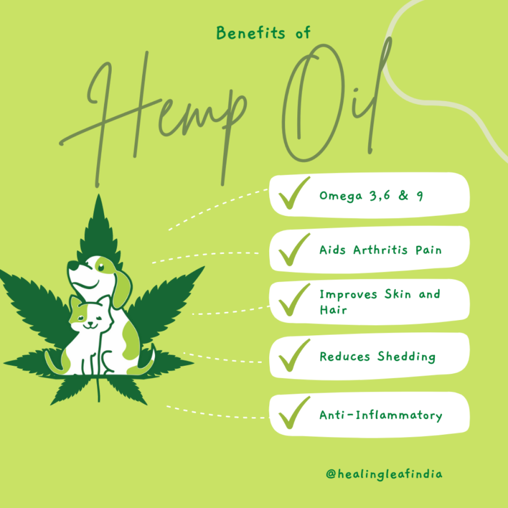 Healing Leaf Hemp Oil for Dogs and Cats image 4