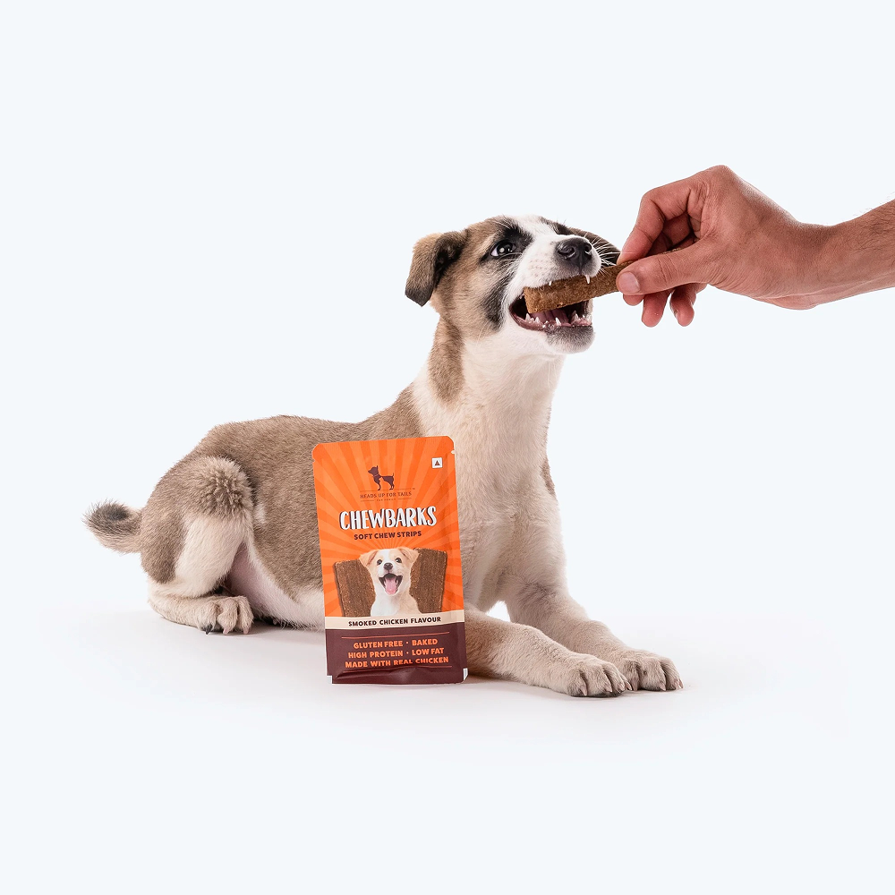 HUFT Chewbarks Gluten Free Smoked Chicken Soft Chew Strips Dog Treats image 7