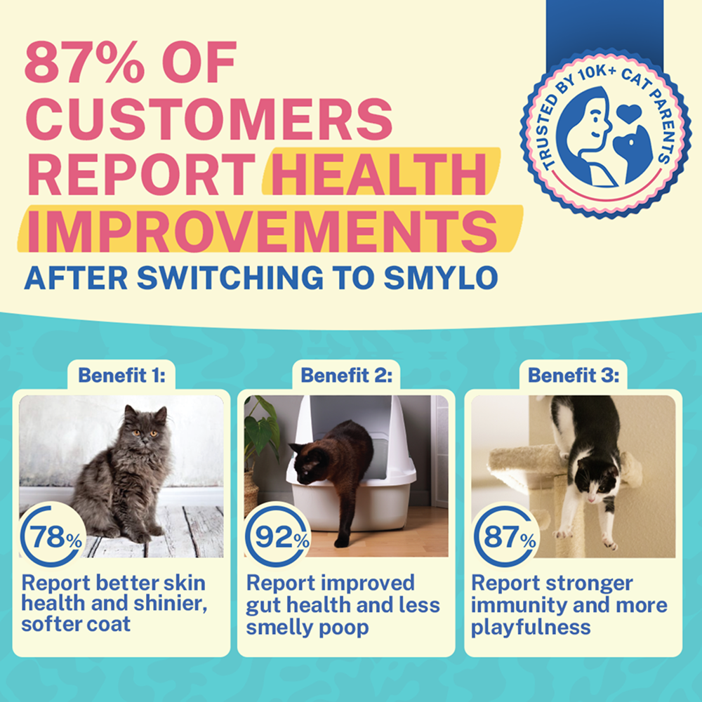 Smylo Kitten Tuna Salmon, Pumpkin, Fresh & No-Preservative Wet Cat Food image 6