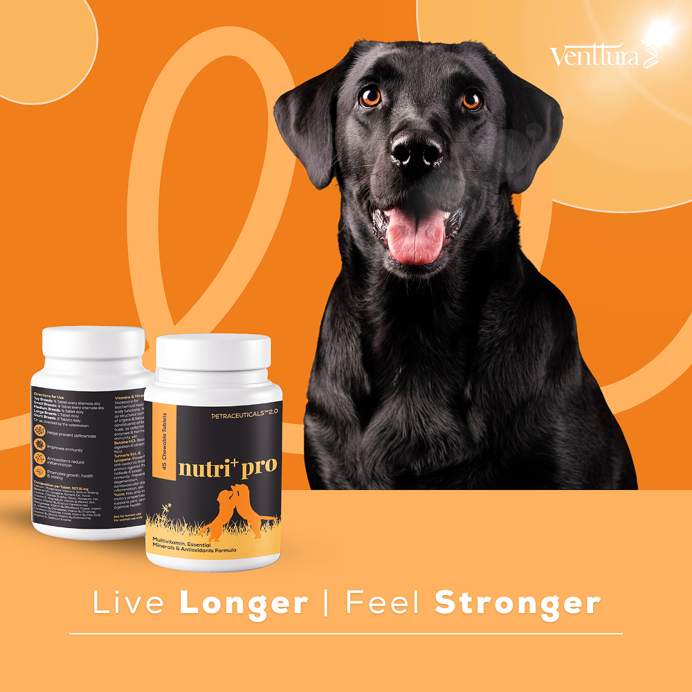 Venttura Nutri Plus Pro Multi Vitamin Chewable Tablets for Dogs image 3