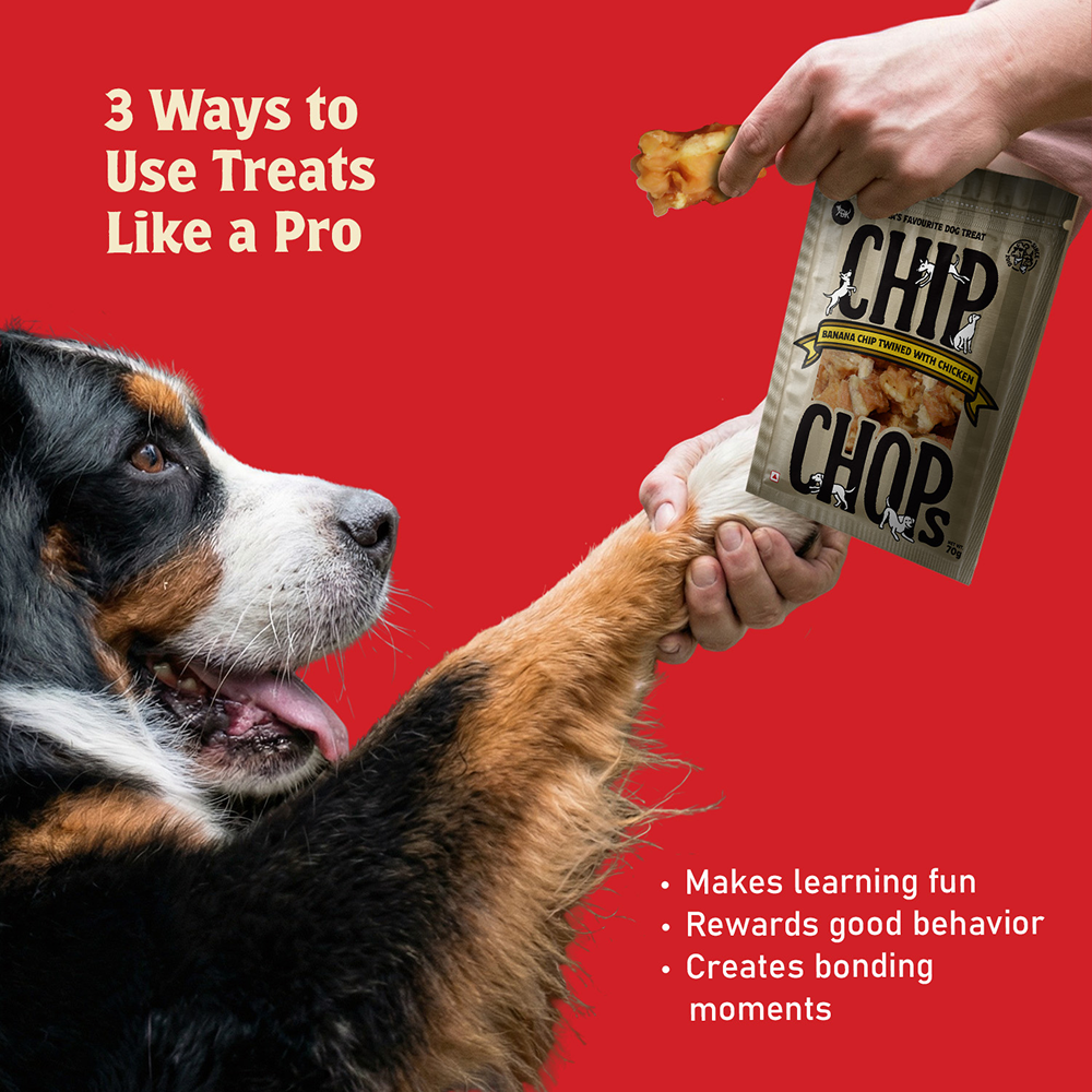 Chip Chops Banana with Chicken Chips Dog Treats image 5