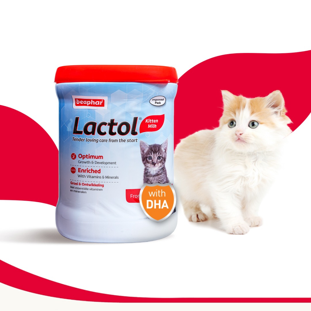 Beaphar Lactol Milk Replacement Powder for Kitten image 8