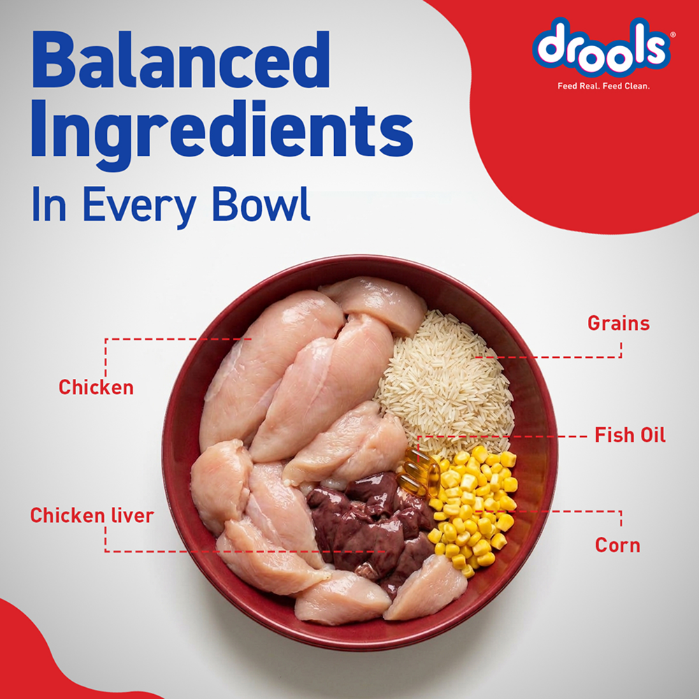 Drools Optimum Performance Adult Dog Dry Food image 7