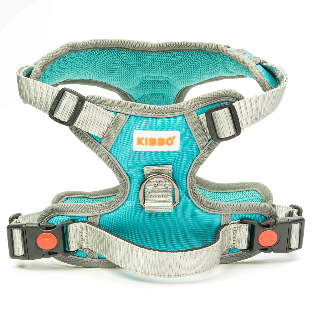 Kibbo Reflective Vest Harness with Dual Lock Buckle for Dogs (Sea Green) image 6