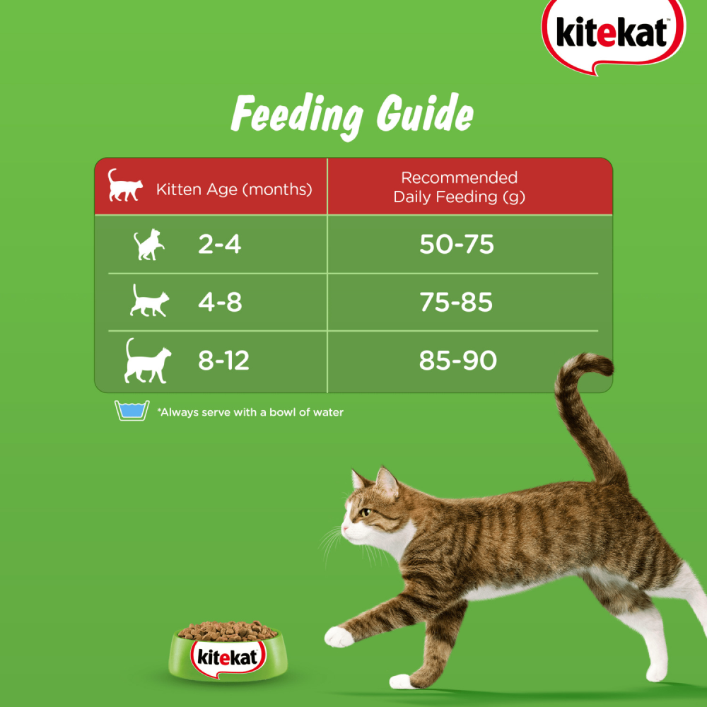 Kitekat Ocean Fish Kitten Dry Food image 7