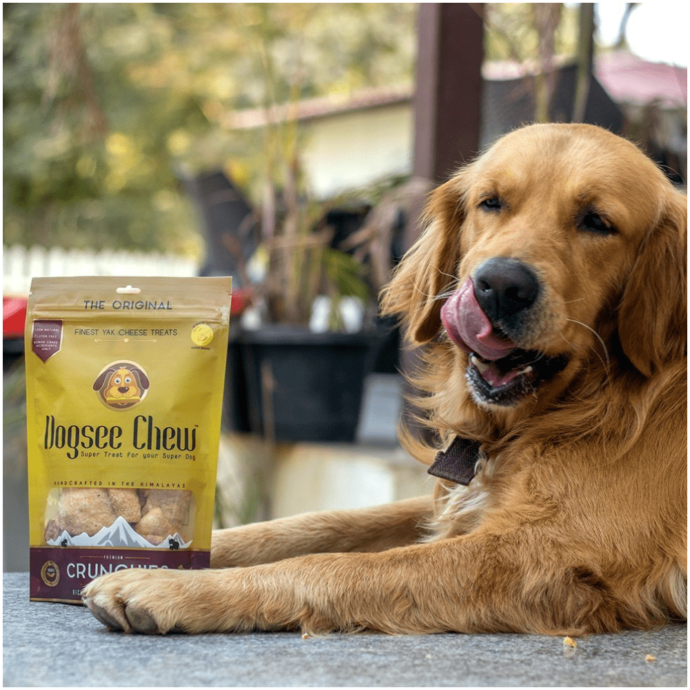 Dogsee Chew Cheese Crunchies Dog Treats image 4