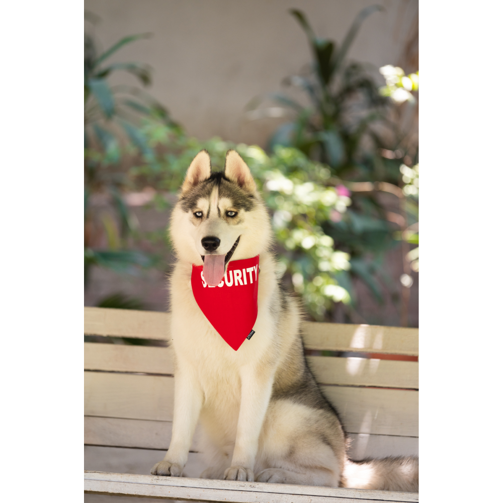 Petsnugs Security Bandana for Dogs and Cats (Bright Red) image 3