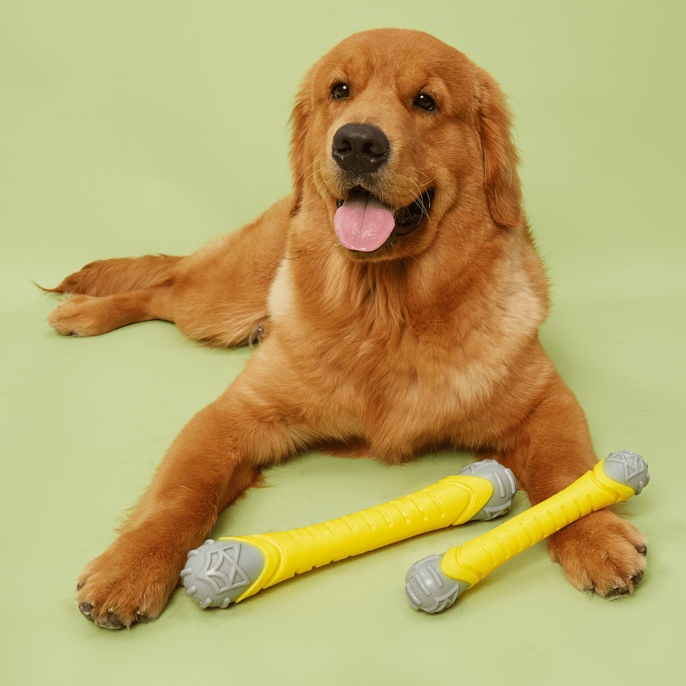Barkbutler x Fofos Flexy Bone Chew Toy for Dogs image 6