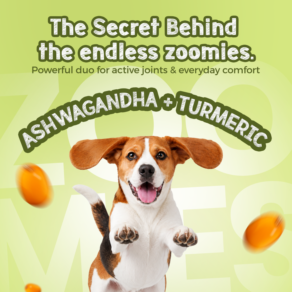 Tails Alive Jumpies+ Banana Chicken Treats Chew Sticks for Dogs image 3