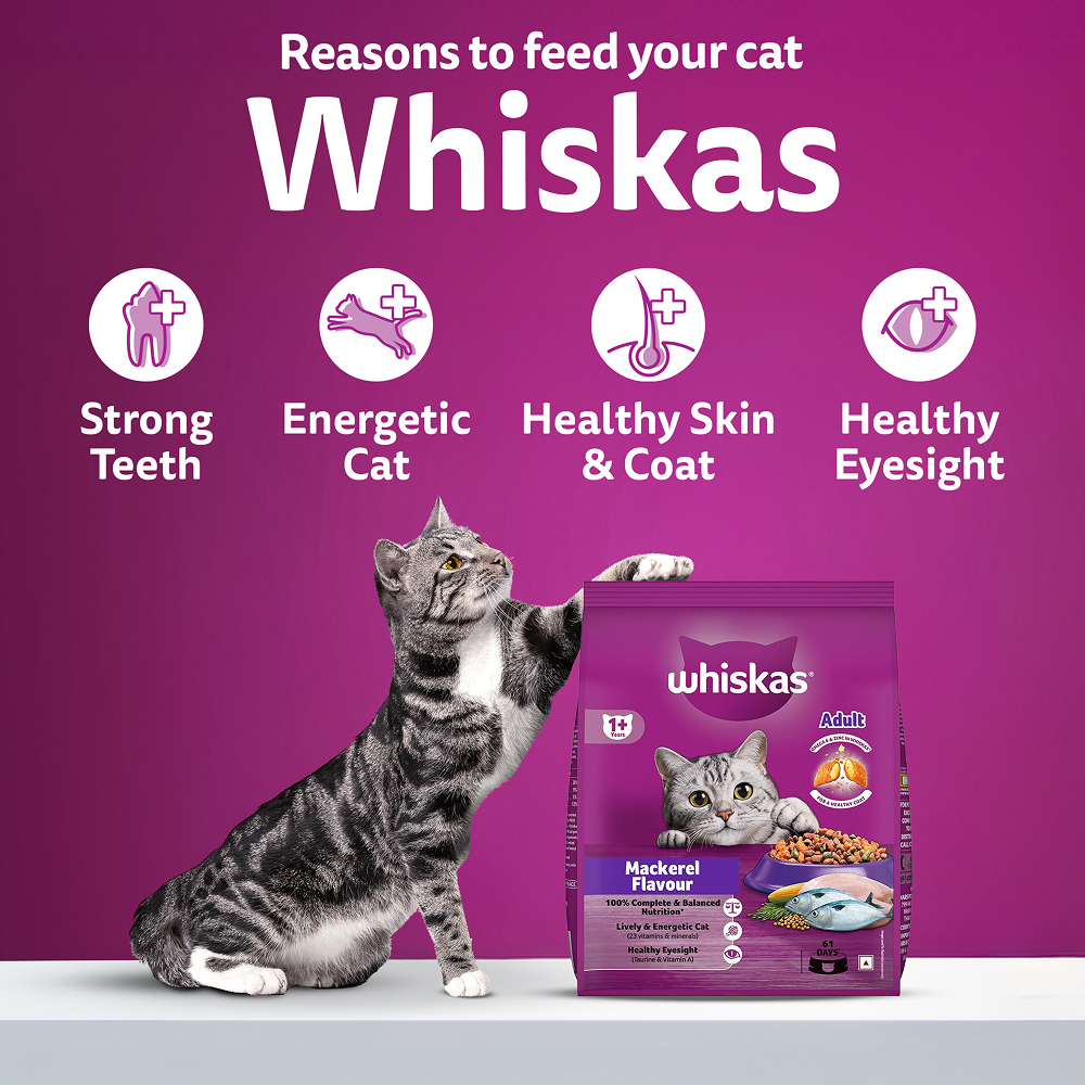 Whiskas Mackerel Flavour Adult Cat Dry Food image 8