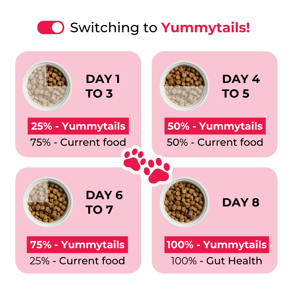 Yummytails Chicken and Fish Premium Adult Medium and Large Dog Dry Food image 5