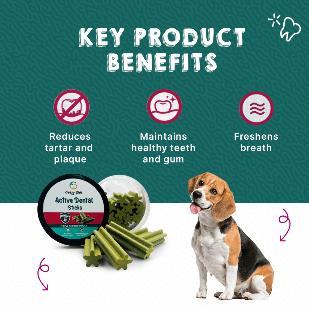Goofy Tails Seaweed Active Dental Twists Dog Treats image 3