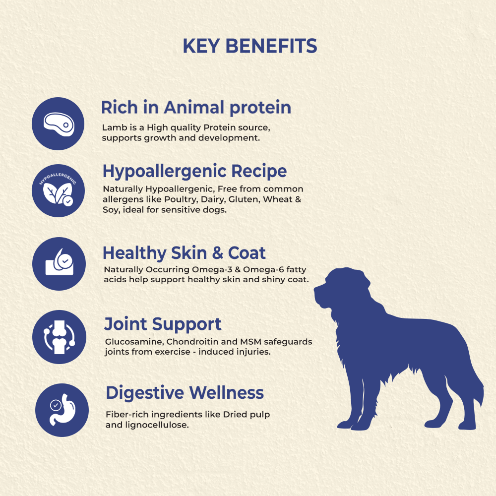 Bruno's Wild Essentials Adult Lamb Recipe Dog Dry Food image 3