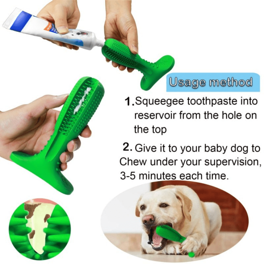 Pawsindia Dental Toy for Dogs (Blue) image 3