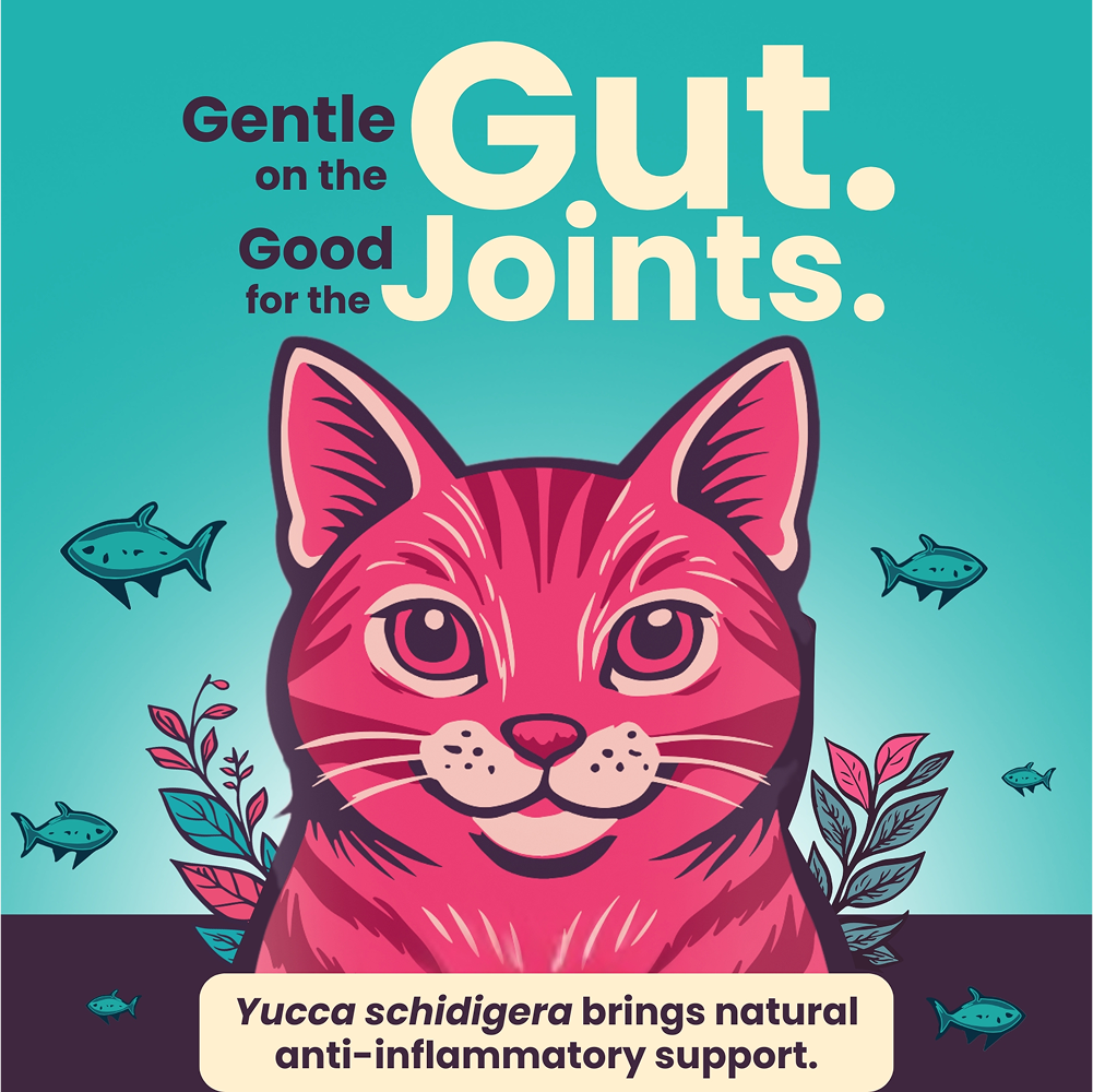 Bark Out Loud Thrive Tuna Flavour Adult Cat Dry Food image 4