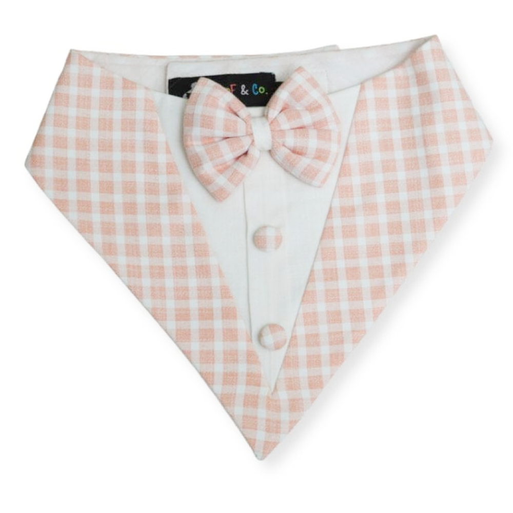 Floof & Co Cotton Tux Bandana for Dogs (Peach) image 2
