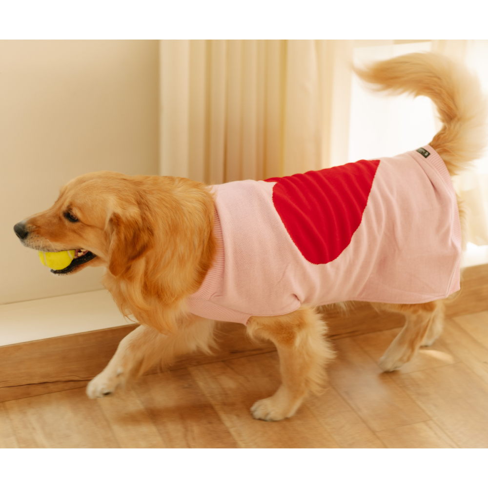 Pet Set Go Ira’s Sweater for Dogs and Cats (Red & Pink) image 5