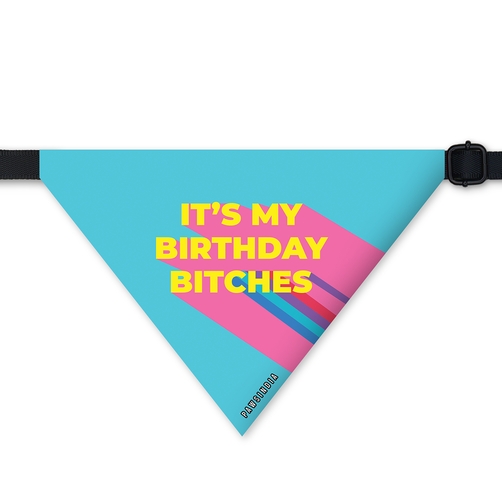 Pawsindia  It's My Birthday Bitches Pet Bandana for Dogs and Cats image 1