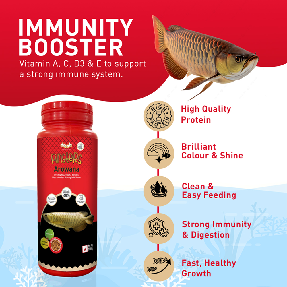 Drools Finsters Arowana Fish Food image 8