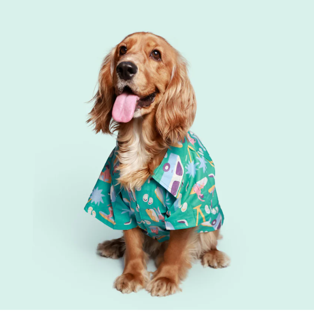 Pet Set Go Beach Club Cotton Shirt for Dogs (Blue) image 4