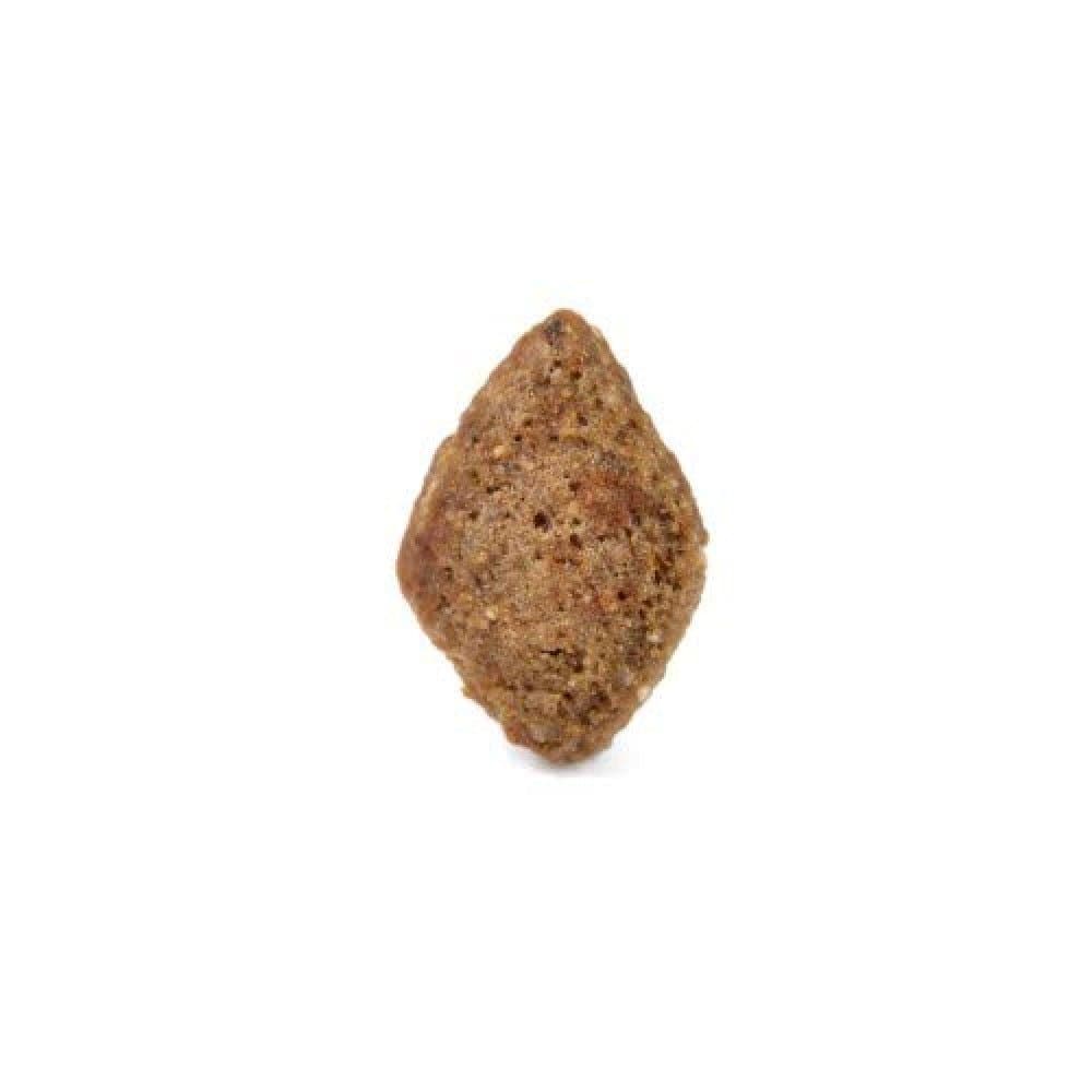 Arden Grange Adult Dog Dry Food | Salmon & Rice image 2