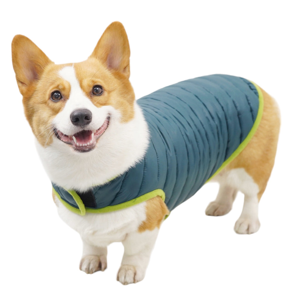 Talking Dog Club Double Trouble Reversible Jackets for Dogs (Blue/Green) image 5