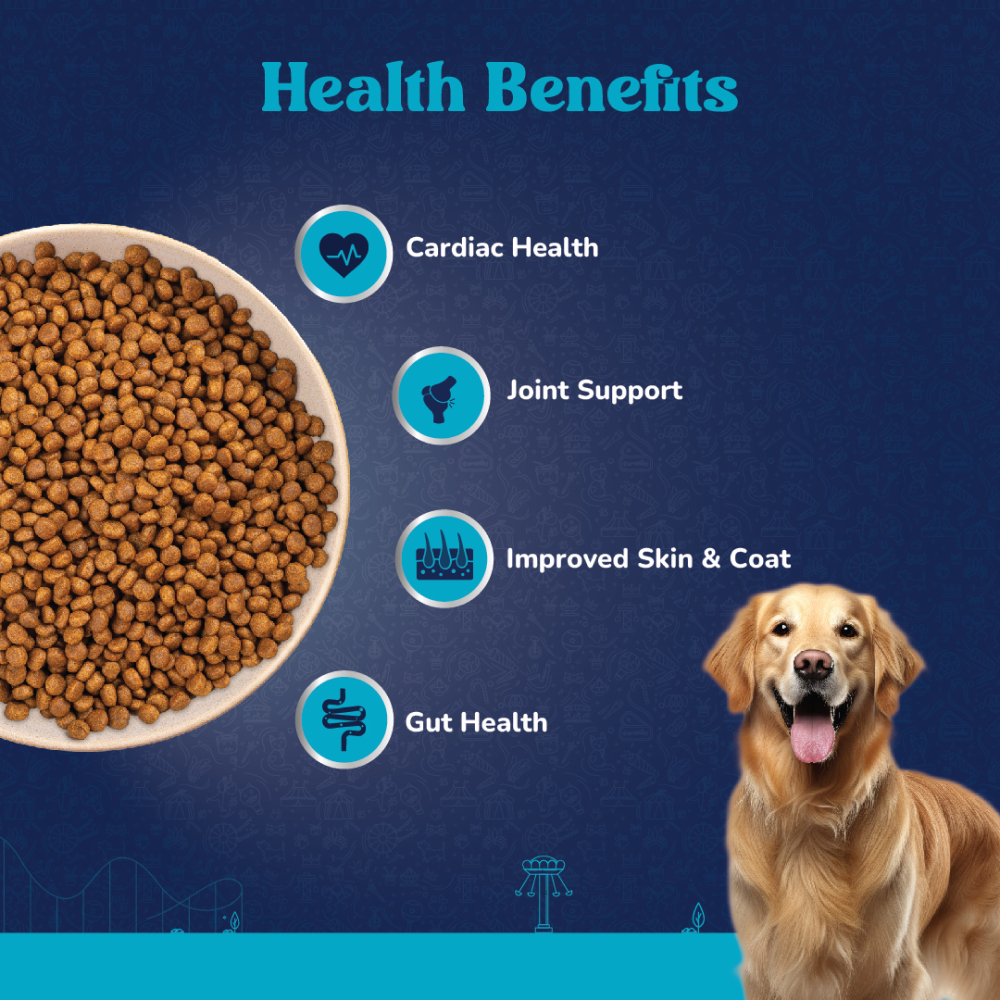 Carniwel Fresh Chicken Kibble Large Breed Adult Dog Dry Food image 6