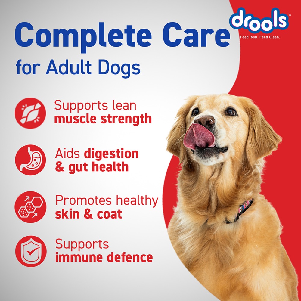 Drools Optimum Performance Adult Dog Dry Food image 6