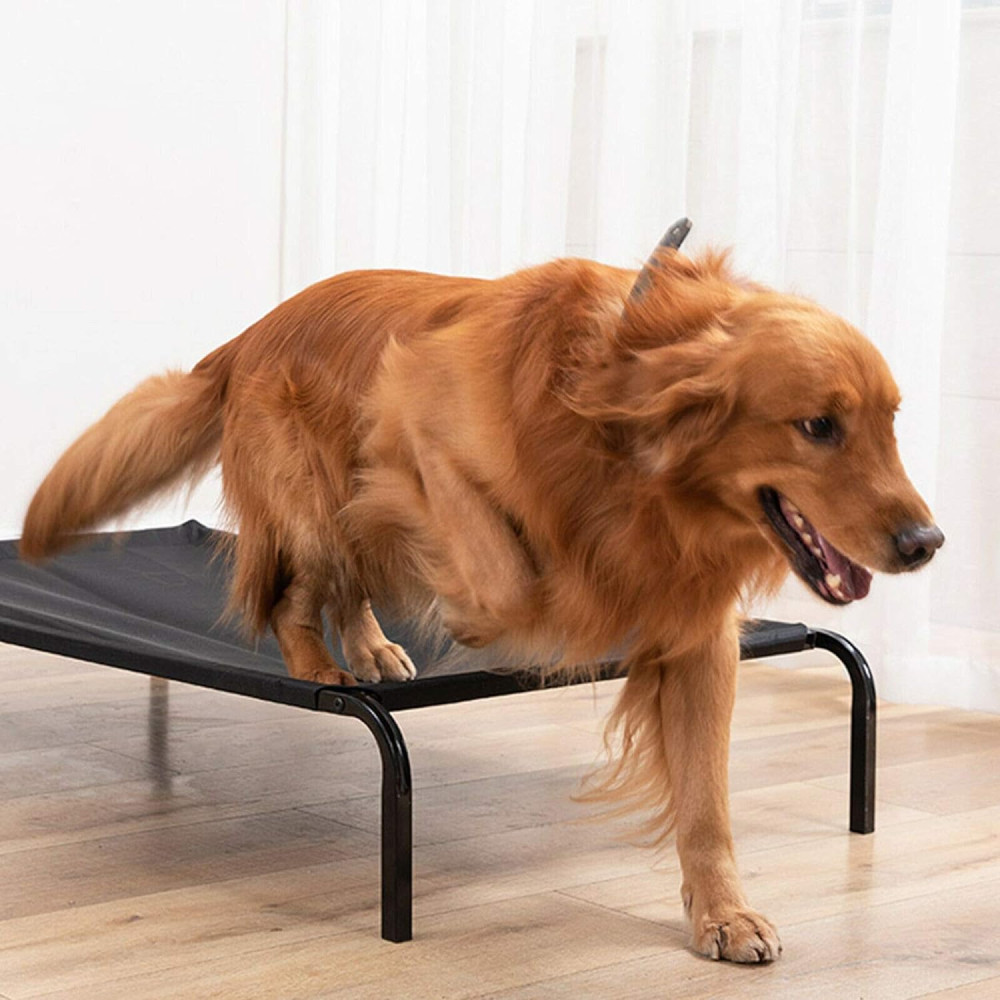 Fluffy's Pawsome Waterproof elevated Sides Camping Bed for Dogs (Black) image 3