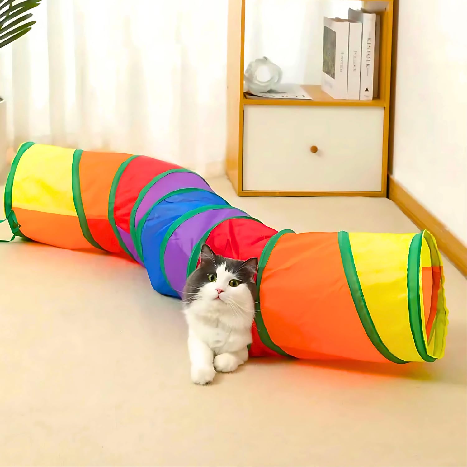 Skatrs Rainbow Tunnel for Kittens & Cats image 1