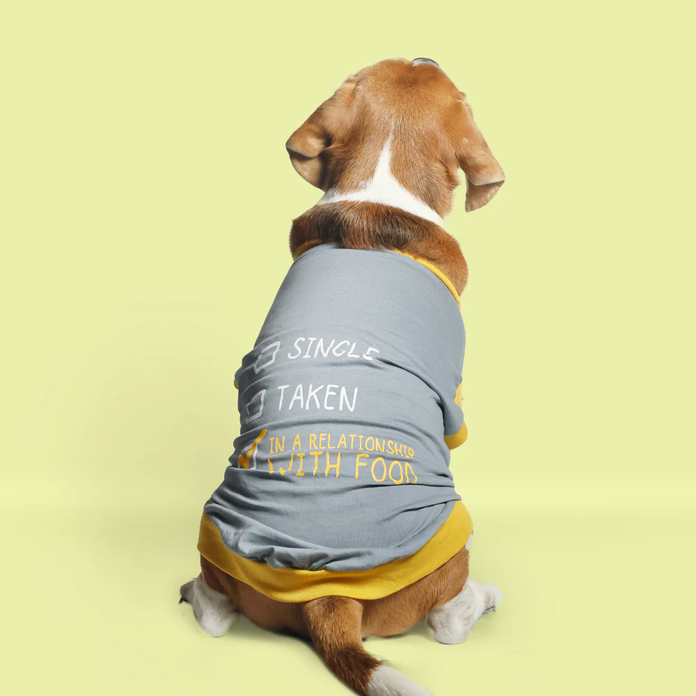 Pet Set Go Single Taken In Relationship Sleeveless Tshirt for Dogs (Grey) image 2