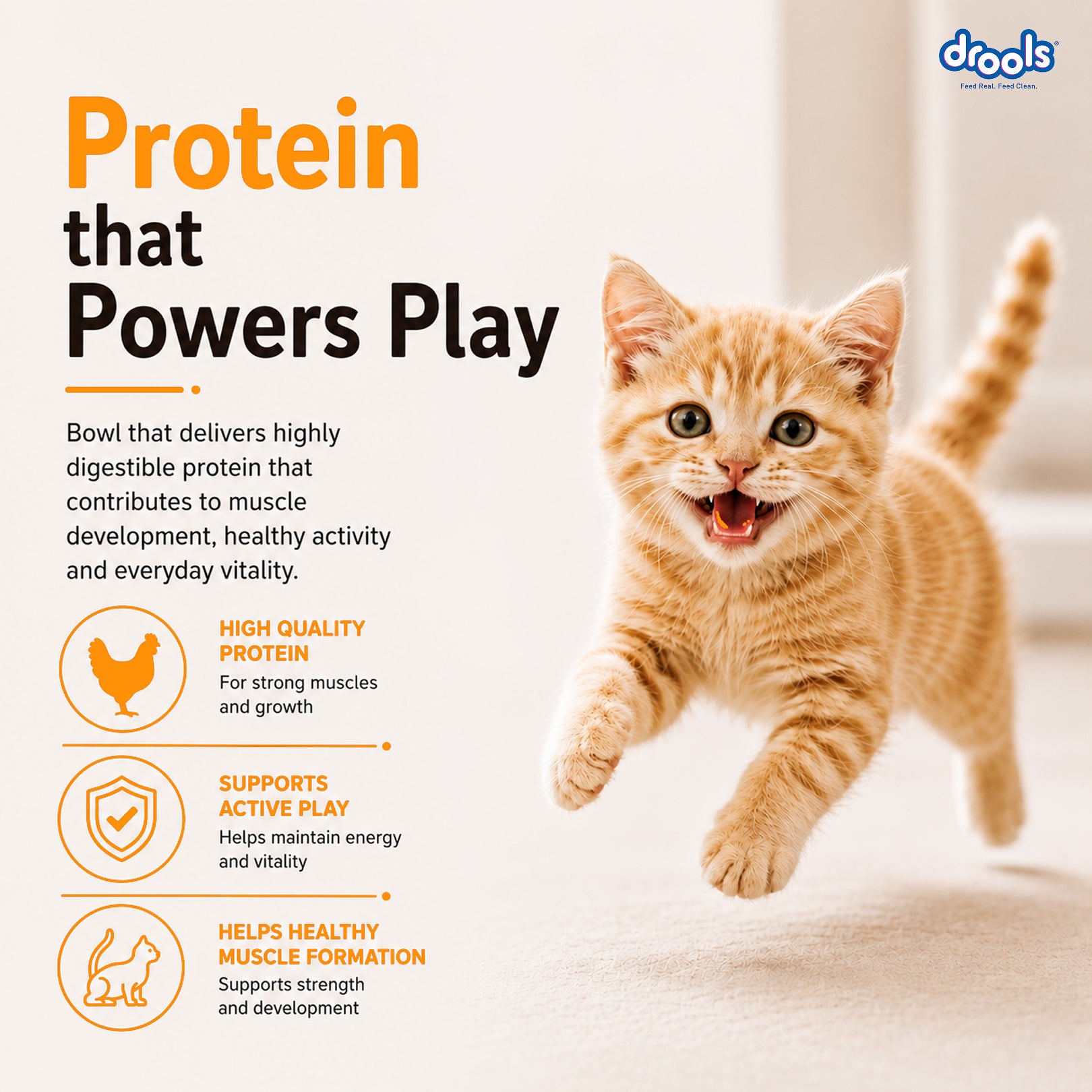 Drools Real Chicken Kitten Dry Food image 9