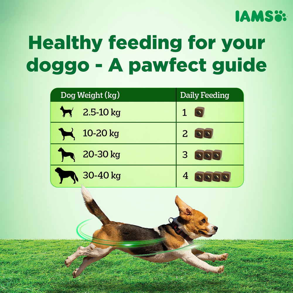 IAMS Proactive Health Dog Supplement For Joint Support image 7