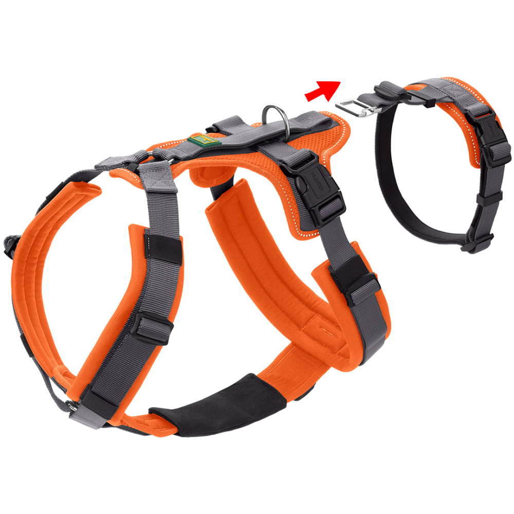 Hunter Maldon Safety Harness for Dogs (Orange) image 8