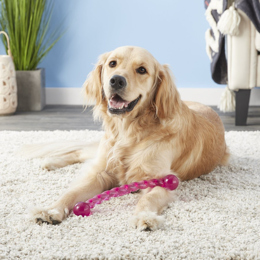 Kong Safestix Rope Toy for Dogs (Green) image 3