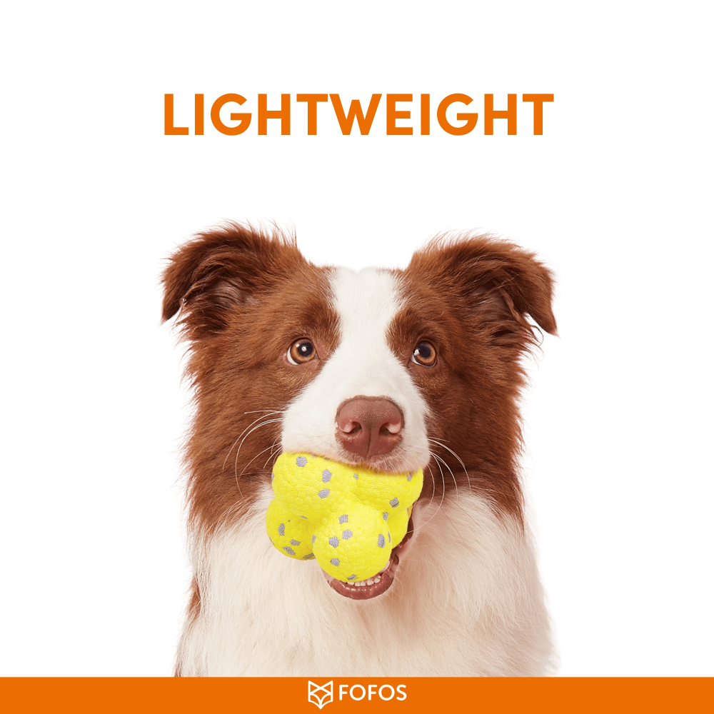 Barkbutler x Fofos Ultra Durable Ball Toy for Dogs (Yellow) image 4