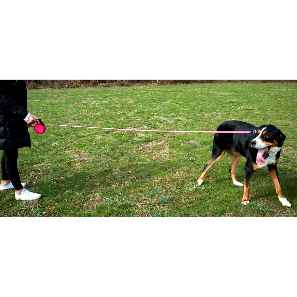 Kong Terrain Retractable Leash for Dogs and Cats (Fuchsia) image 8