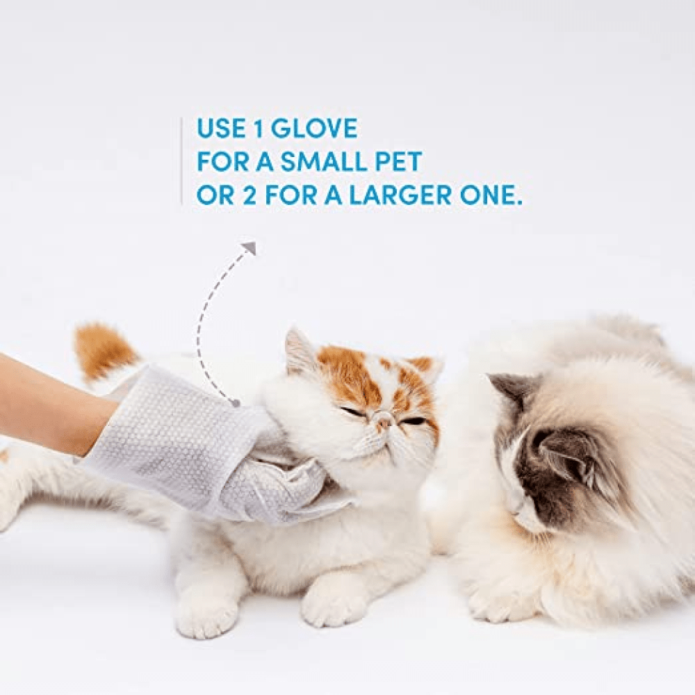 Barkbutler x Fofos 8 Waterless Wash Gloves for Dogs and Cats image 6