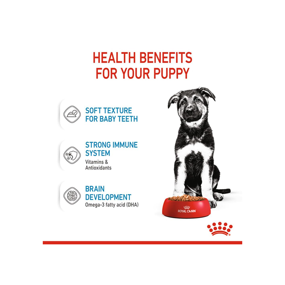 Royal Canin Maxi Puppy Dog Wet Food image 4
