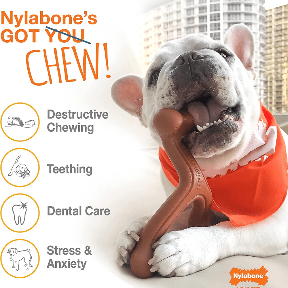 Nylabone Puppy Teething Chicken Flavoured Power Chew Dental Dinosaur Toy for Dogs (White) image 5
