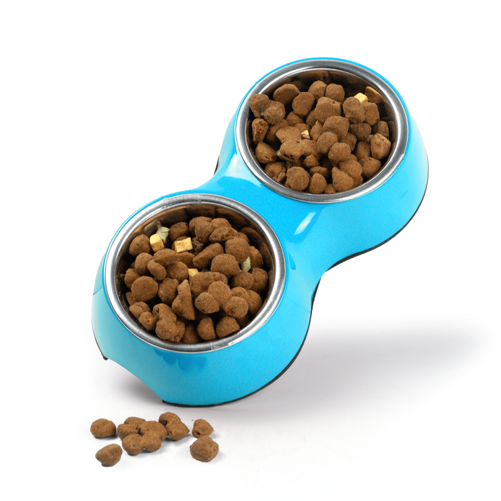 Basil Double Melamine Bowl Dinner Set for Dogs and Cats (Blue) image 6