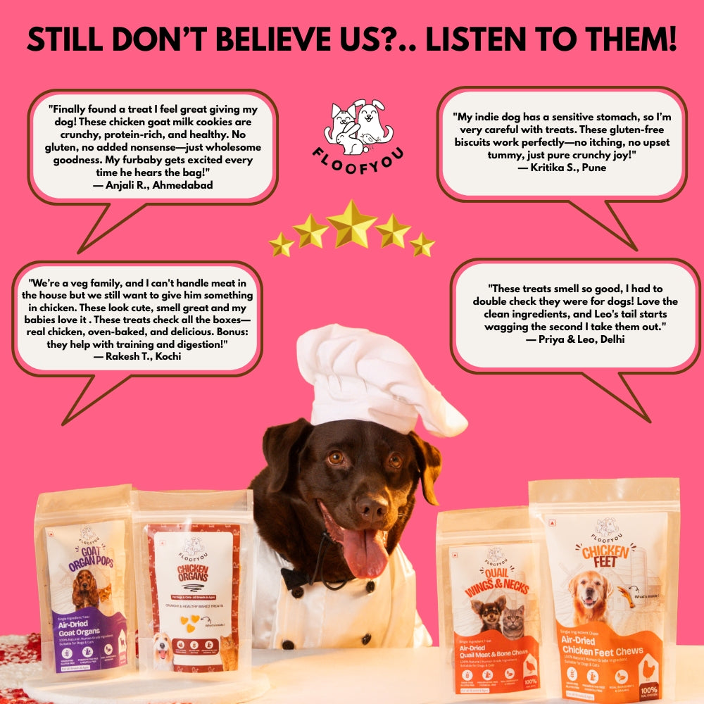 Floofyou Chicken Goat Milk Oven Baked Cookie Dog Treats image 8
