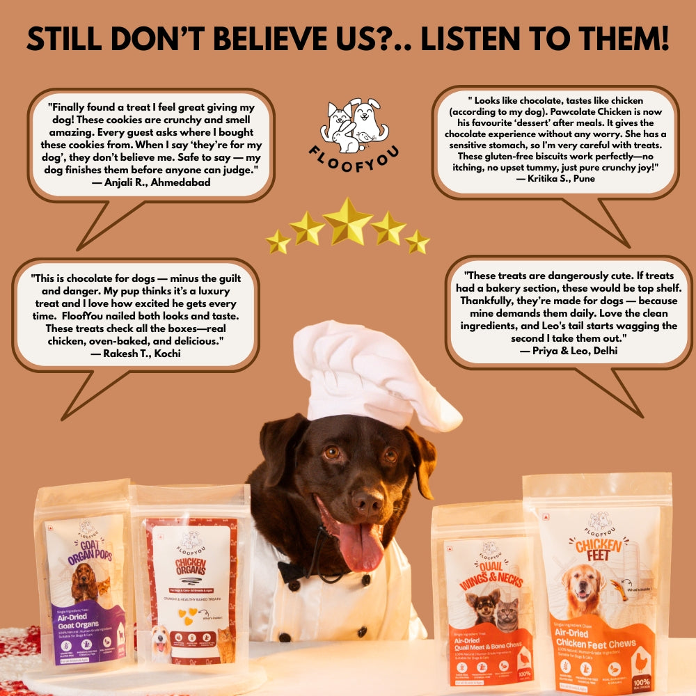 Floofyou Pawcolate Chicken Chocolate Safe Oven Baked Cookie Dog and Cat Treats image 8
