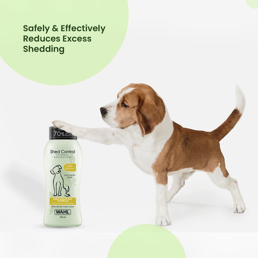 Wahl Shed Control Shampoo for Dogs (Lemongrass & Sage) image 5